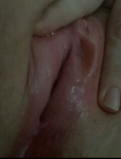 IMG_6653.jpeg