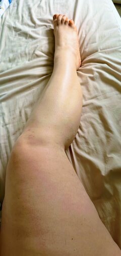 IMG_4303.jpeg