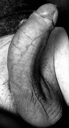 IMG_2062.jpeg