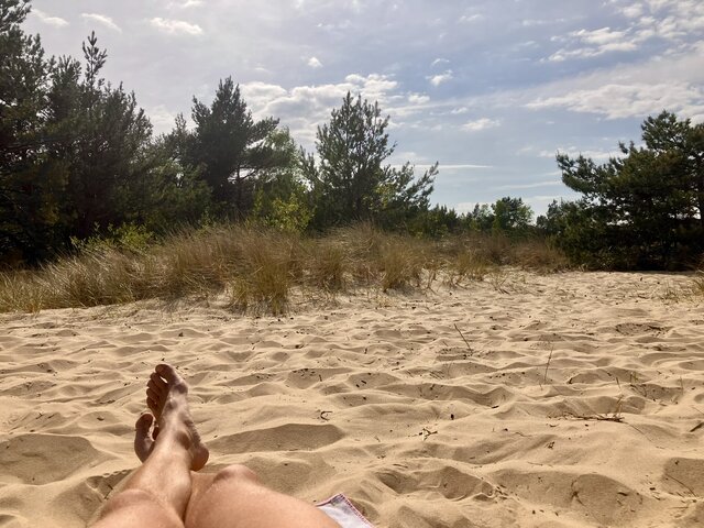 Plazowicz3city