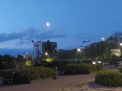 20260510_040550.jpg