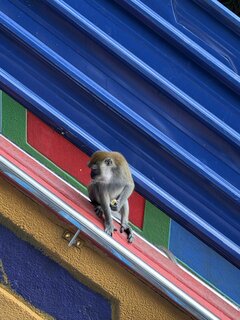 IMG_6059.jpeg