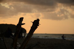DSC_0116.JPG