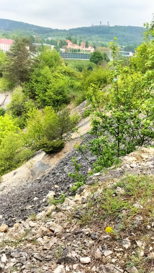 Skrspoko