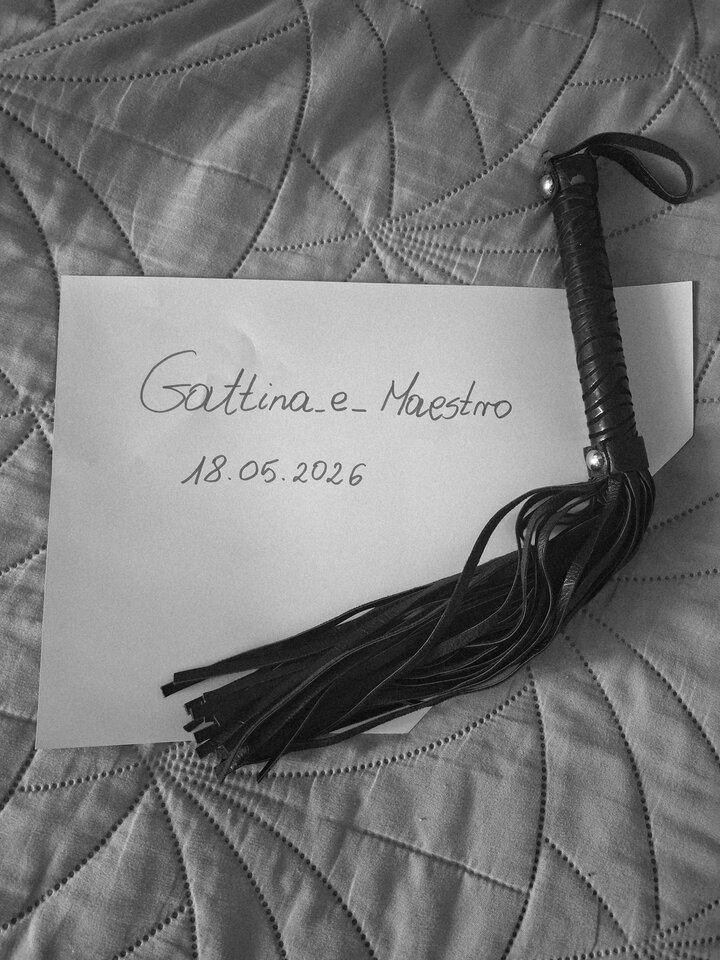 1000029317.jpg - Gattina_e_Maestro