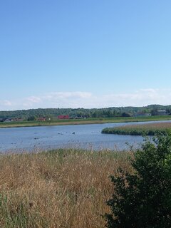 20260510_162738.jpg