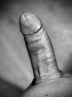 IMG_3082.jpeg