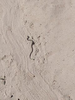 20260521_103548.jpg