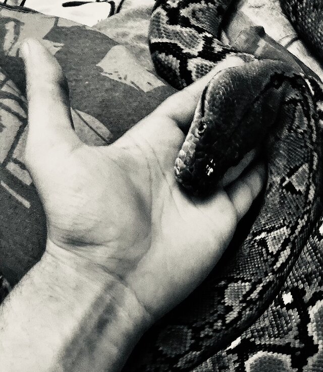 Psychotrop666
