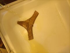 IMG20230430193348.jpg