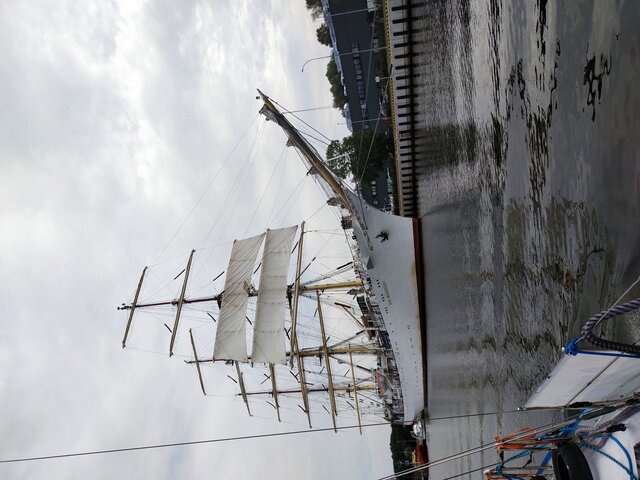 MickyGD