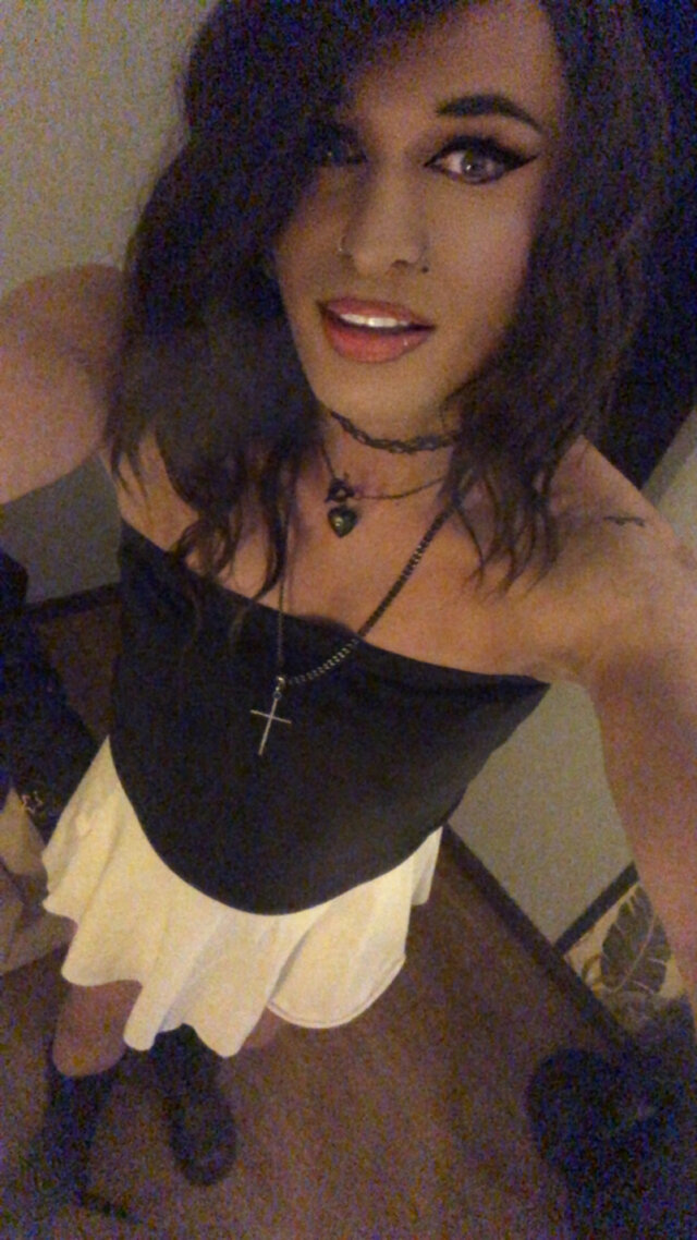 TransKitty