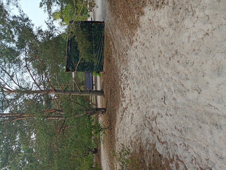 1000000260.jpg - Onszukaich1