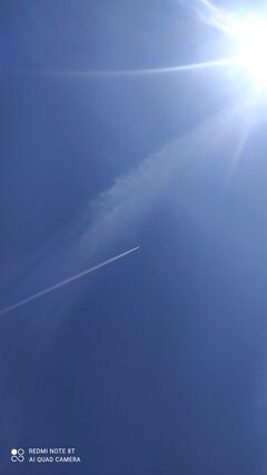 IMG_20260524_114319.jpg