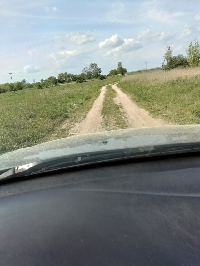 Wszolek