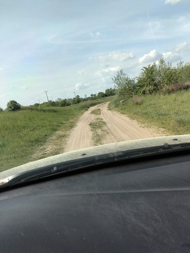 Wszolek