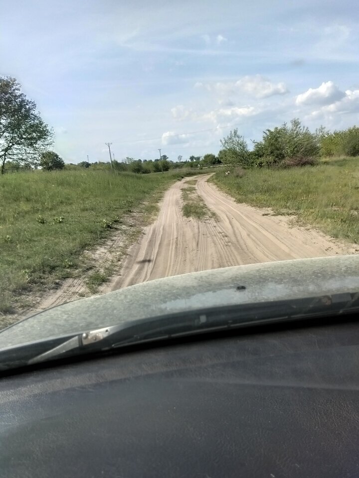 3431.jpg - Wszolek