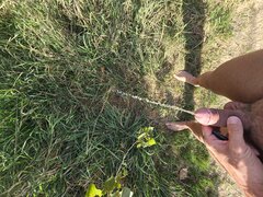 20240901_164042.jpg