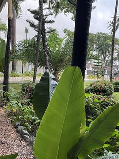 IMG_1263.jpeg