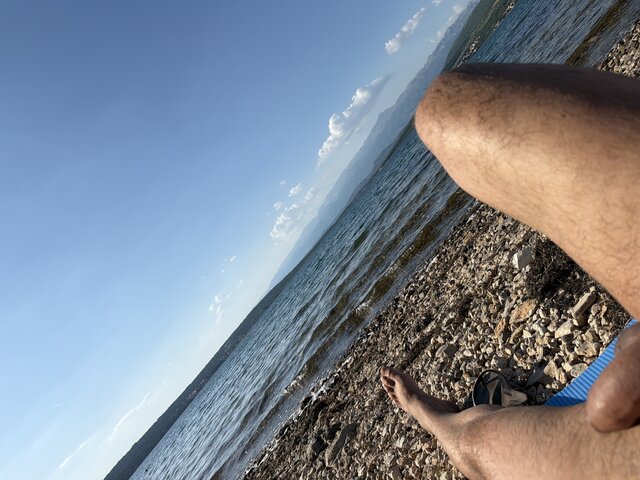 PavIv