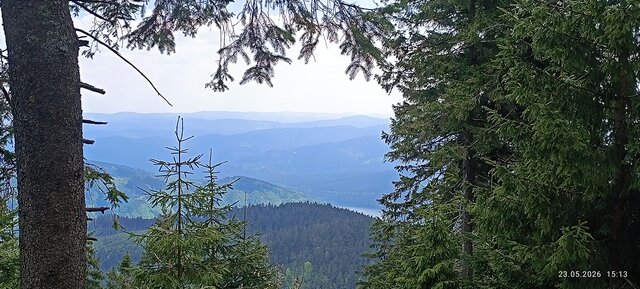 Bull_Masters