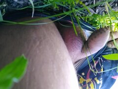 IMG_20260526_083301448.jpg