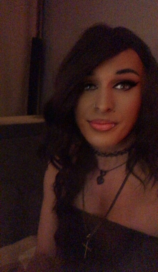 TransKitty