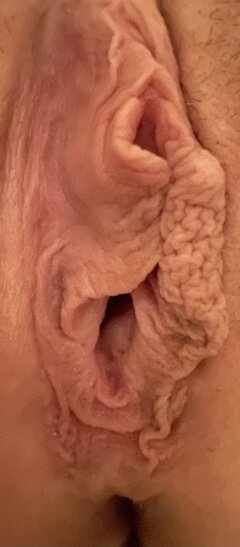 IMG_9502.jpeg