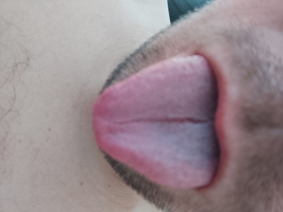 17798572184881468607694622023402.jpg - michal_1985_wawa
