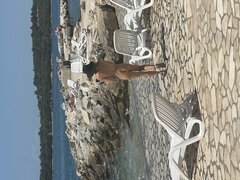 IMG_2681.jpeg