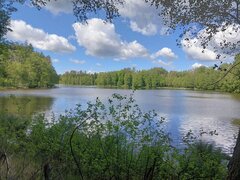 20260528_092126.jpg