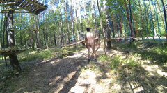CHECHŁO - park linowy 20260524_0901.mp4_snapshot_00.06_[2026.05