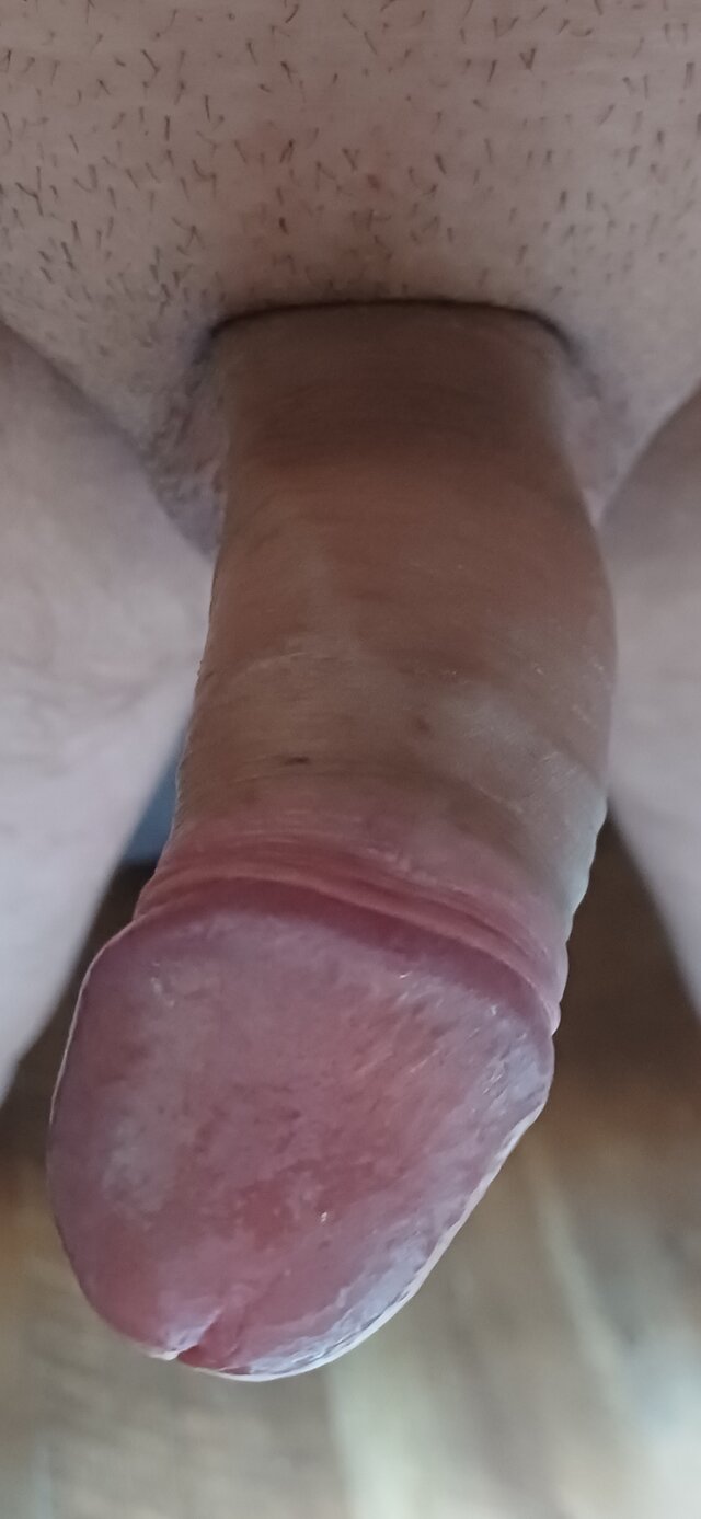 Pento1231