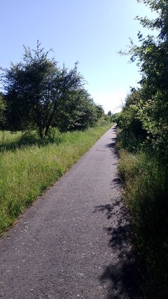 IMG-20260528-WA0013.jpeg