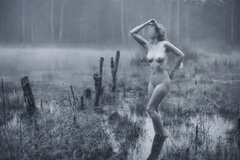Swamps