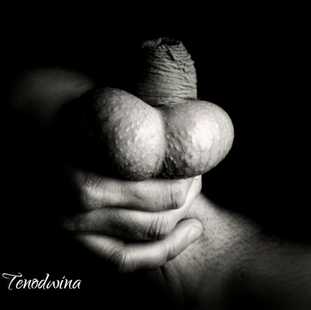Tenodwina