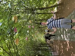 IMG_3828.jpeg