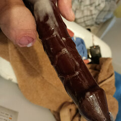 1000003759.jpg