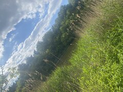 IMG_0454.jpeg