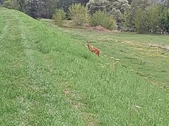 20230803_060839.jpg