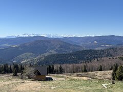 IMG_6520.jpeg
