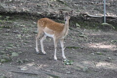 IMG_1451.JPG