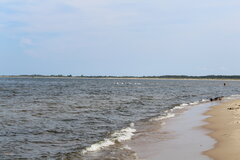 IMG_0972.JPG