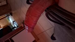 1000016077.jpg