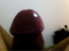ffff_025_2.jpg