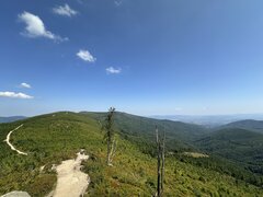 IMG_2764.jpeg