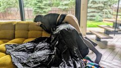 1000018330.jpg