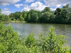 20260531_111803.jpg