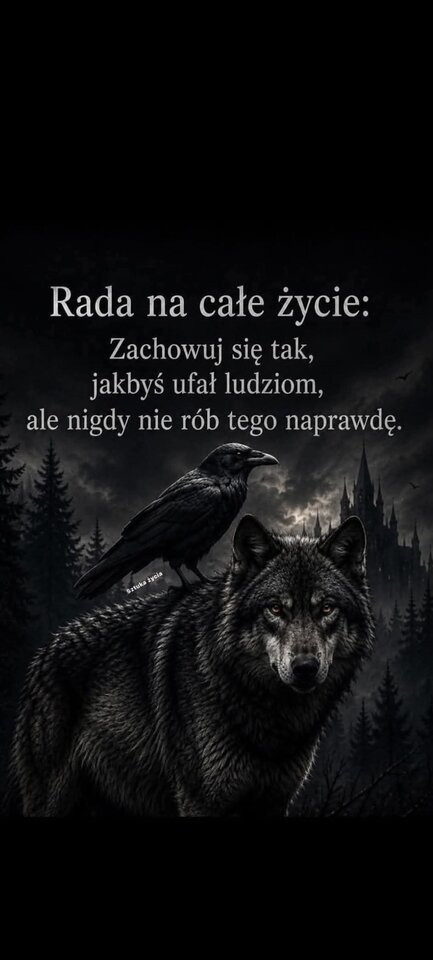 FB_IMG_1780334352595.jpg - MusicIsTheStrongersFormOfMagic
