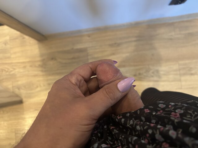 MajaTrans83